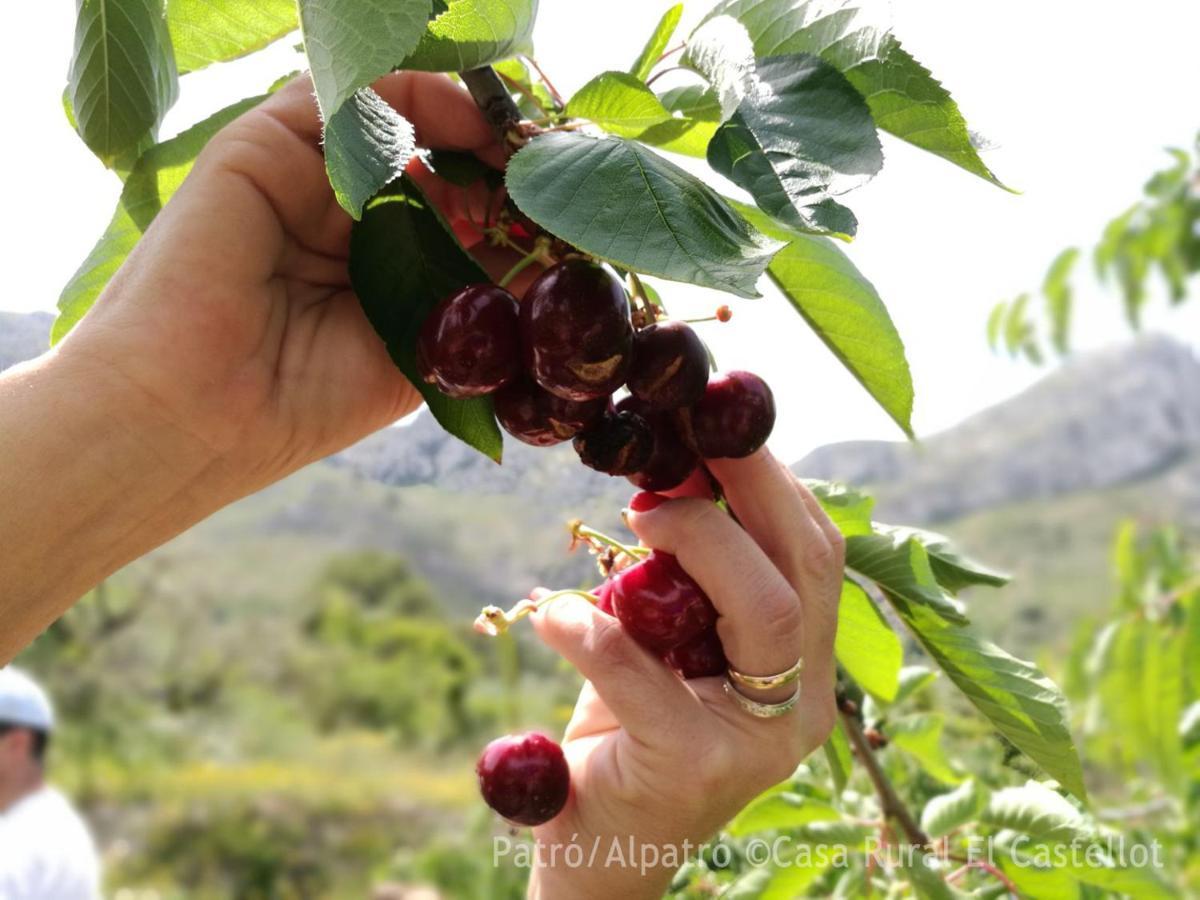 Buhardilla Rustica En La Vall De Gallinera Patro Exterior photo